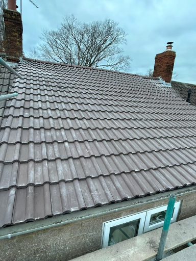 Roofer Glastonbury 17 Medium